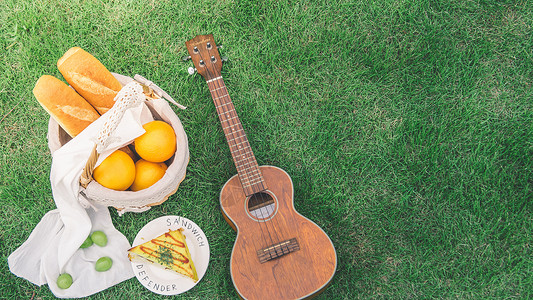 橙子素材免费户外绿草地上野餐背景