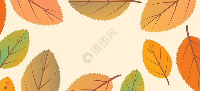 秋季服装banner树叶背景设计图片