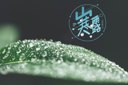 雨毛笔字寒露设计图片