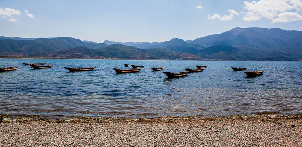 云南泸沽湖柳树海滩高清图片