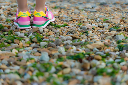 布满海草的石头彩色石滩上的鞋背景