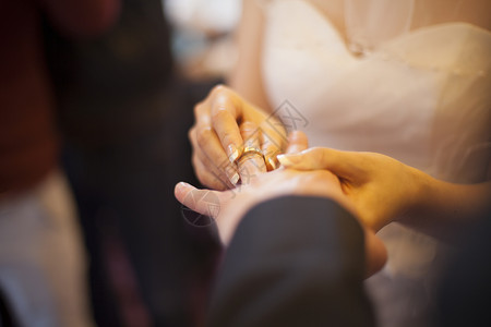 婚姻的新娘给新郎带上了戒指背景