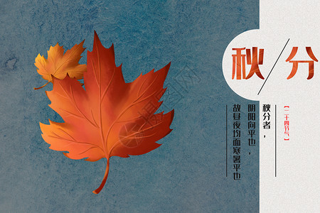 秋分枫叶竖线高清图片