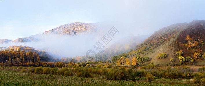 晨雾弥漫的乌兰布统山峰树林背景图片