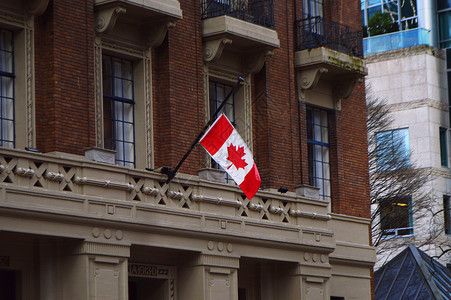 加拿大红枫温哥华城市风光背景