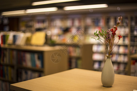 暗图书馆里的静物背景
