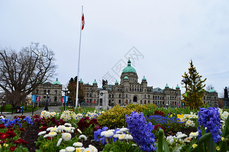 加拿大萨省加拿大维多利亚政府大楼背景