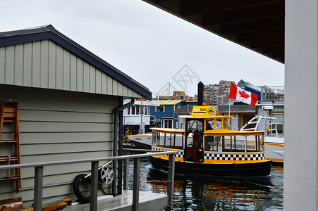 维多利亚海港加拿大维多利亚背景