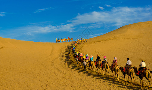 大漠驼队背景图片