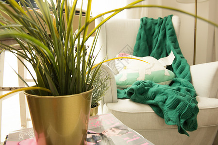 客厅的沙发和绿植图片