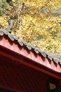 古风房屋素材禅意古风寺院建筑背景