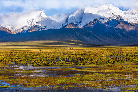 西藏黄昏雪山下的湿地背景