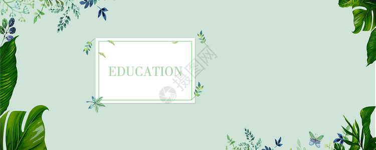 绿色树叶和花朵小清新教育背景设计图片