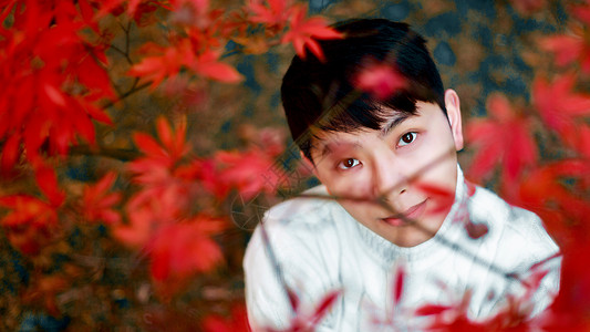 枫叶下的男孩图片