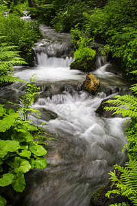 怒川美丽大自然的瀑布背景