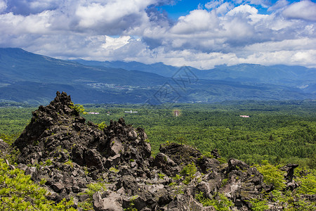 鬼树日光鬼怒川背景