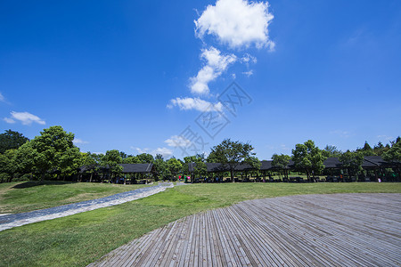 绿草木板吊牌天空绿草背景