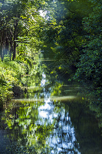 森林深处的小河高清图片