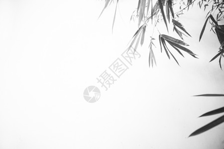 极简中国风竹子水墨素材图片