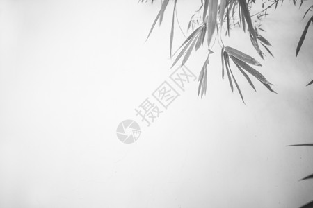 极简中国风竹子水墨背影素材图片