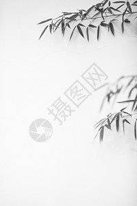 竹叶叶子极简中国风竹子水墨素材背景