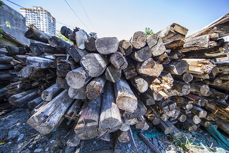 木材木料木材废料高清图片
