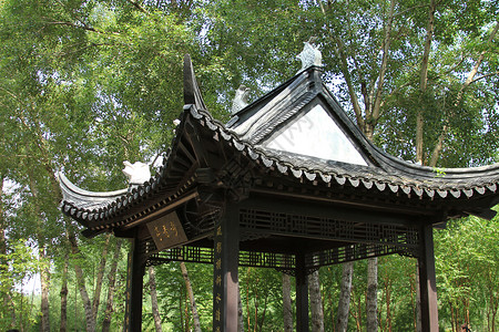 中国亭园中式建筑凉亭背景