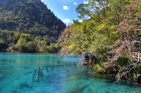 九寨沟五花海风景照片背景图片