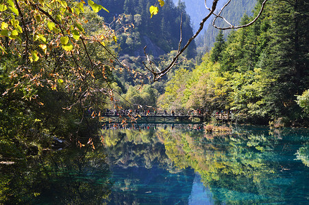 九寨沟五花海风景照片背景图片