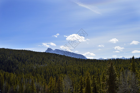 加拿大班夫国家公园森林图片