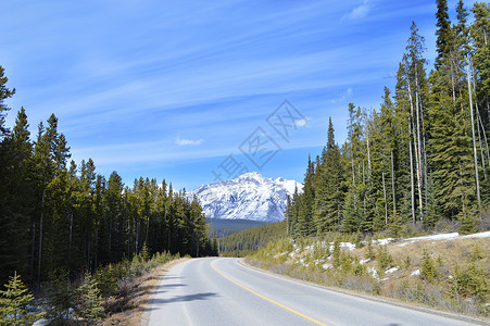 横贯加拿大公路加拿大班夫国家公园国道公路背景