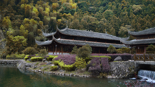 浙江武义牛头山森林公园背景图片