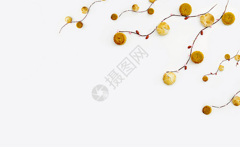 水彩桃花元素中秋月饼创意图片背景