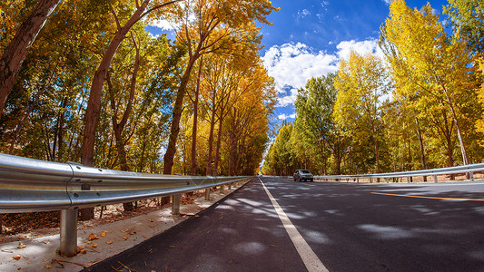 秋天的公路叶子宽阔高清图片