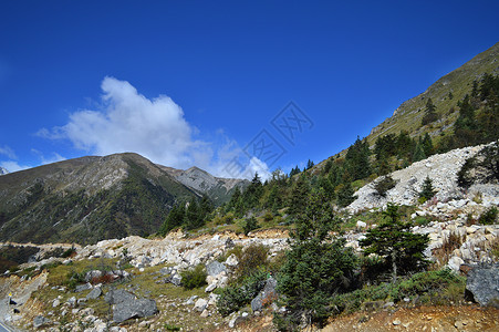 风照四川甘孜州新都桥自驾风景照背景