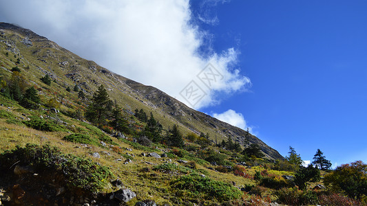 四川康定新都桥唯美风景照背景图片