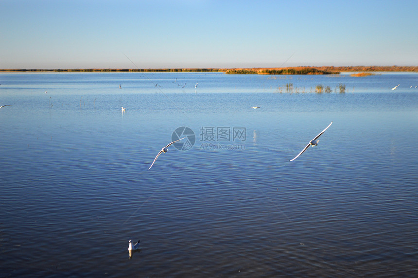 内蒙古额济纳旗居延海风景照图片