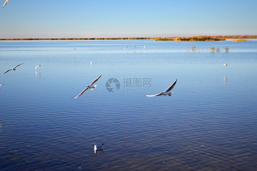 内蒙古额济纳旗居延海风景照图片