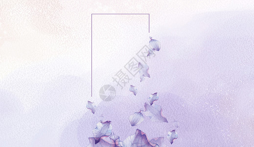 紫色蝴蝶浪漫紫色背景设计图片