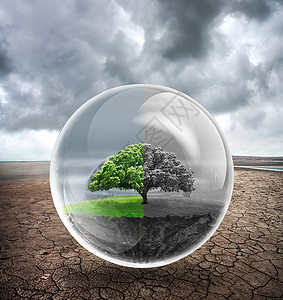 沙漠水源环保 保护地球设计图片