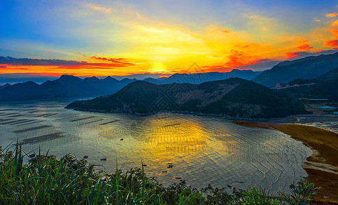 金色树叶花框金色的海上日落背景