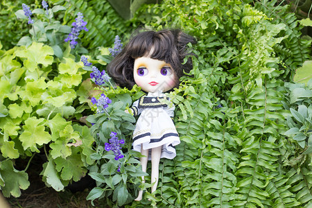 草丛中的少女草丛中的小玩偶背景