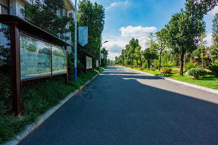 校园橱窗晴天的校园背景