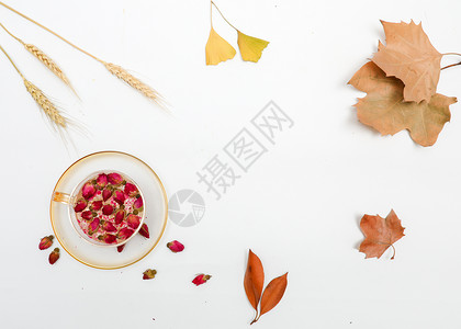 女性秋季养生玫瑰花茶背景图片