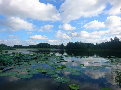虎丘湿地公园之蓝天白云图片