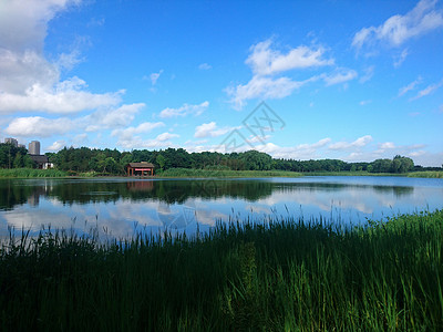 明洁如镜虎丘湿地公园之蓝天白云背景
