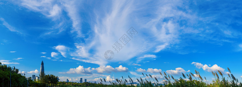 飞鸟形状的云层素材背景图片