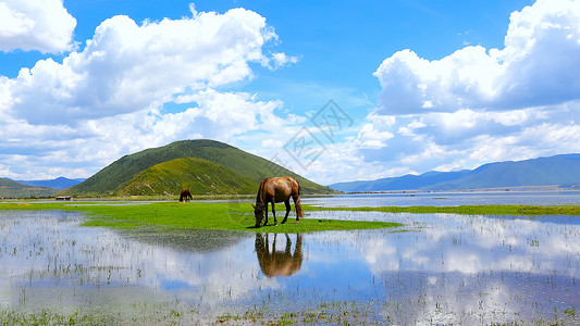 马儿泸沽湖蓝天白云山水倒影美景背景