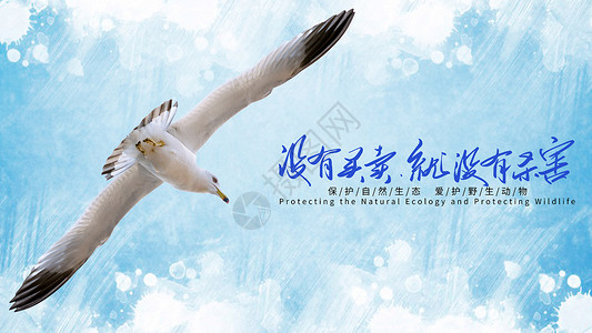 保护鸟世界动物日设计图片