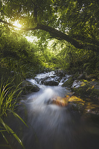 静谧小溪背景图片